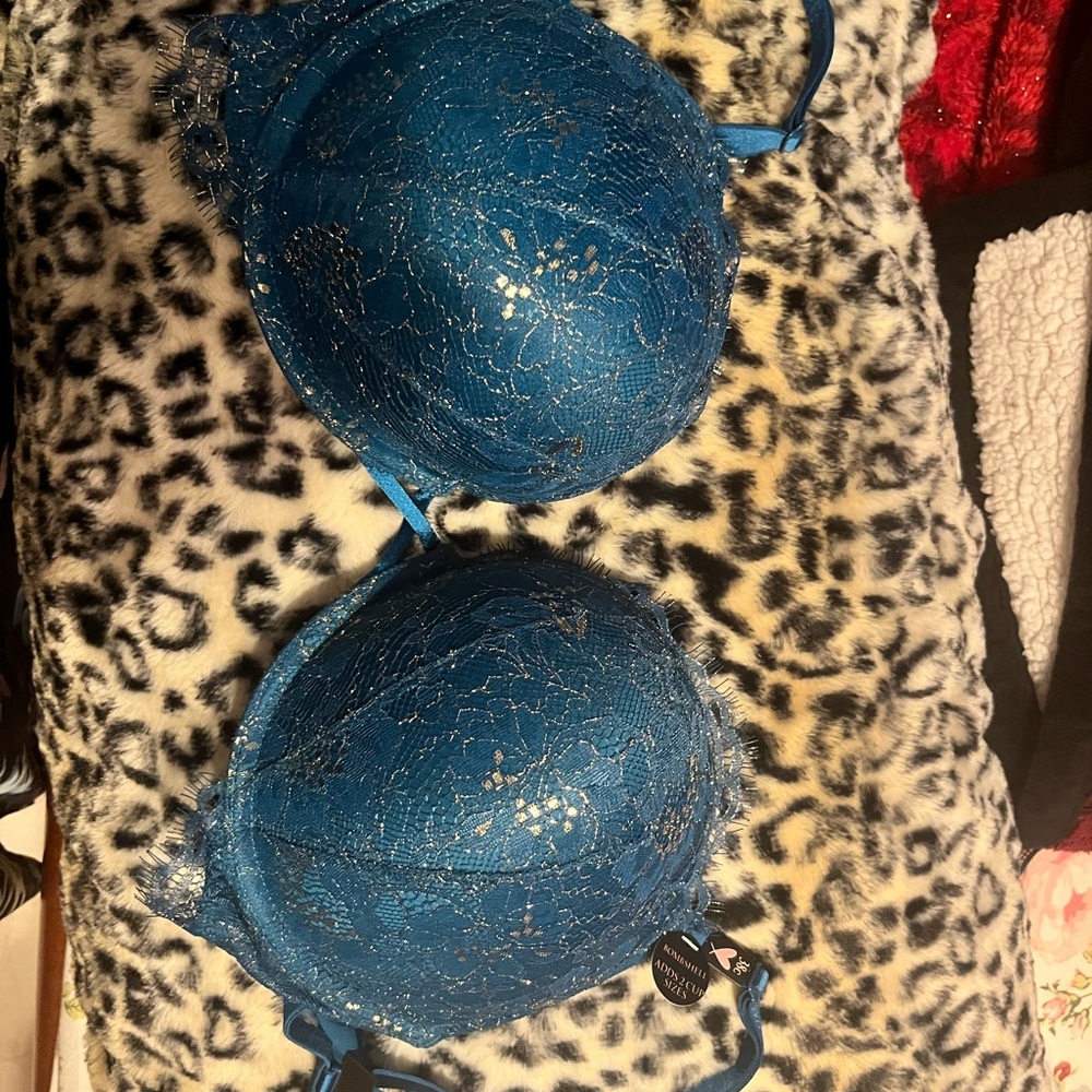 Elegant Blue Lace Bra